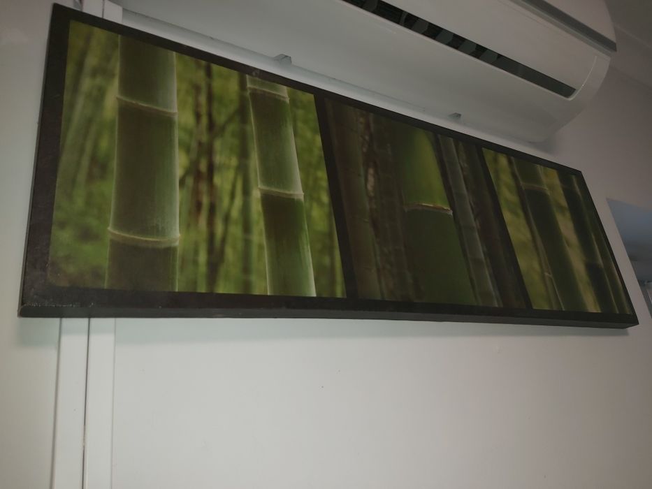 Tela decorativa com bambus verdes  5€