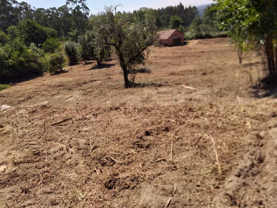 Terreno para construção junto à ecopista do dão