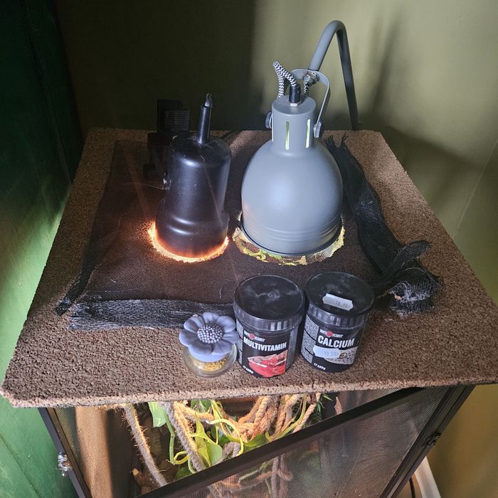 Terarium siadkowe w stanie dobrym