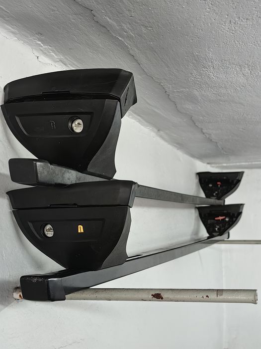 Belki dachowe Taurus