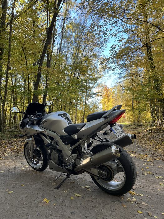 Suzuki SV 1000 S 2003 rok 69 tys km