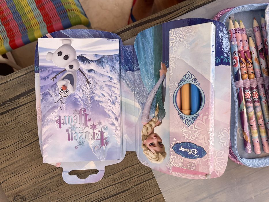 Estojo + canetas + acessorios Frozen