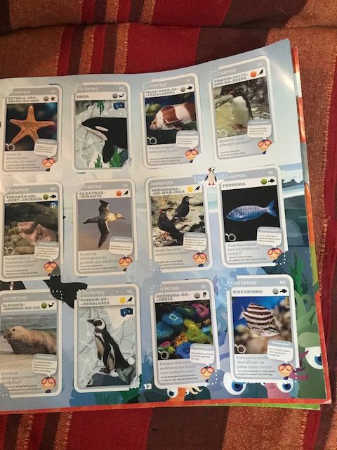 Cadernetas super desportos e super animais Pingo Doce