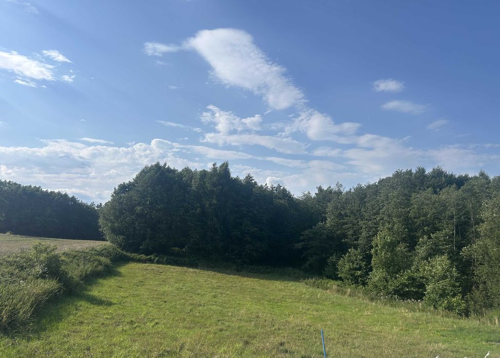 Zdjęcie 5