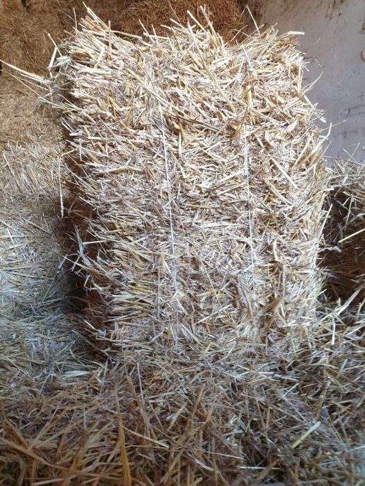 Sprzedam słome 2025