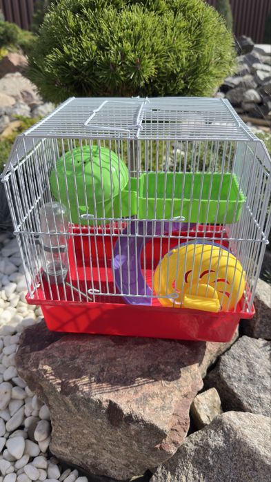 Клітка для гризунів