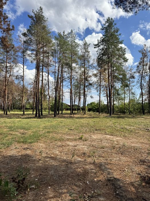 Песчанка, три участка рядом 35 соток