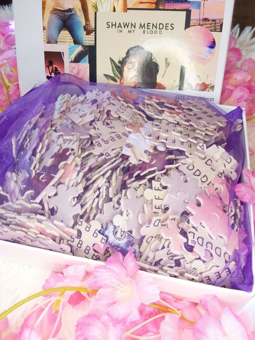 Shawn Mendes Puzzle 500peças