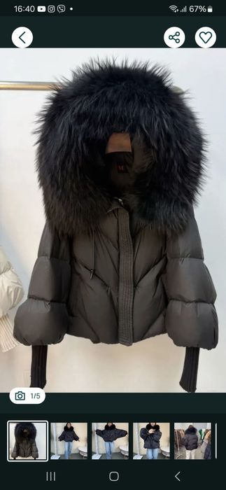 КУРТКА  Літуча мишка з єнотом