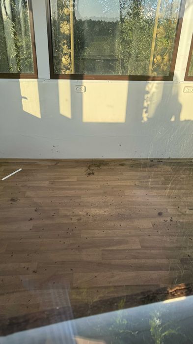 МАФ, кіоск, магазин, павільйон, магазин, кав'ярня