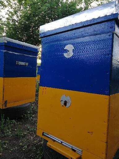 ПРОДАМ вулики 12 рамкові