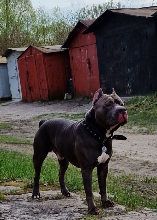 Стафф для в'язки.