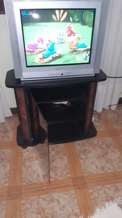 Televisor + móvel empecabel