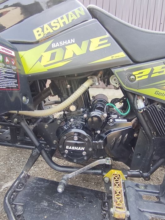 Bashan x-one 250