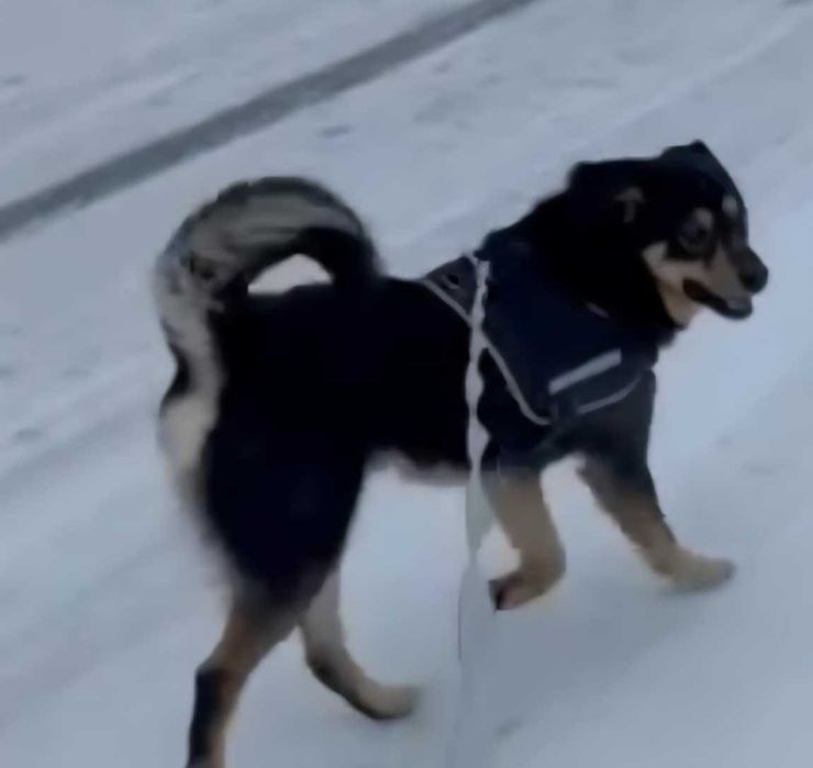 Olek .do szczęscia brakuje mu czlowieka.