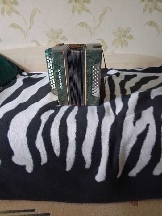 Гармошка Марічка