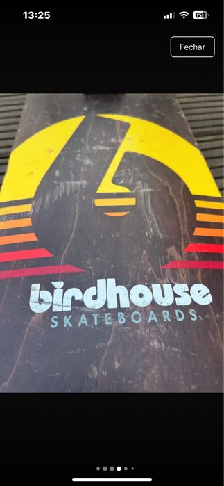 Skate  birdhouse