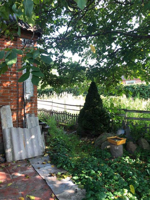 Продаж будинку на ділянці 31 сотка