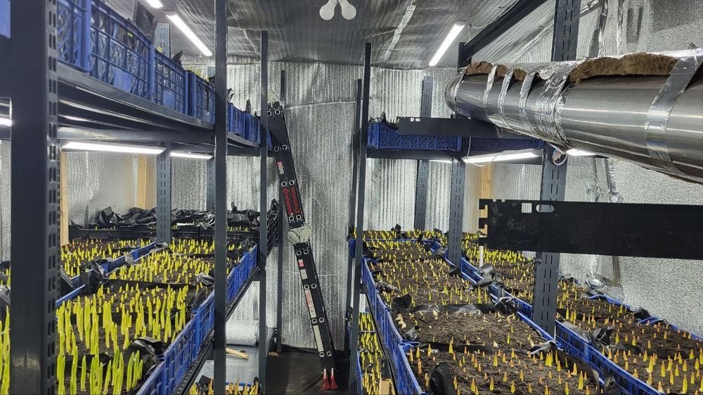 Стелажі металеві Modern Expo