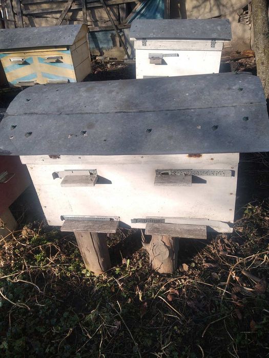 Продам вулики для бджіл