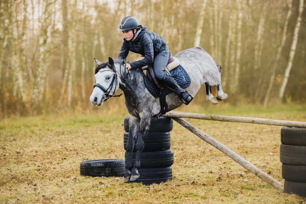 Ogier kuc feliński 4 lata