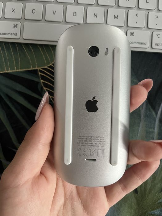 Apple magic mouse