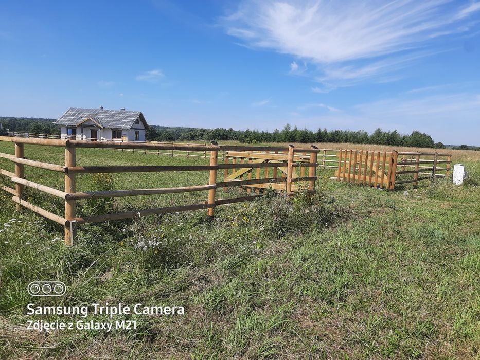 Ogrodzenie  drewniane , panel,słupek,siatka