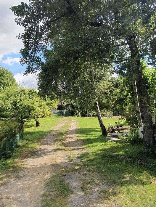 Dom na wynajem w Płazie