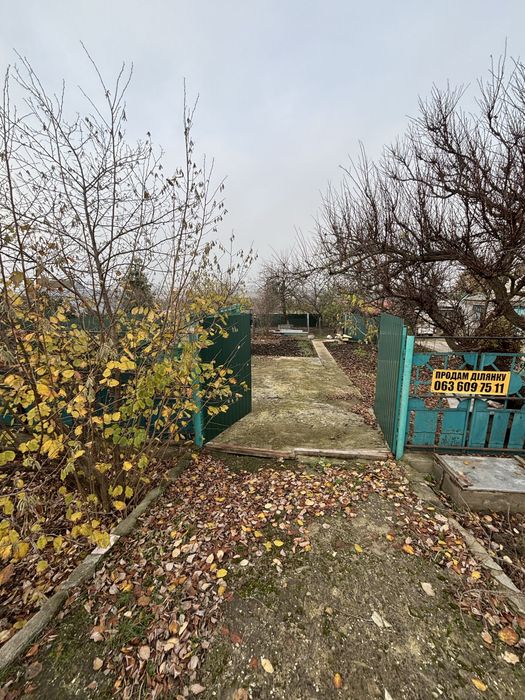 Продам участок в Сычавке