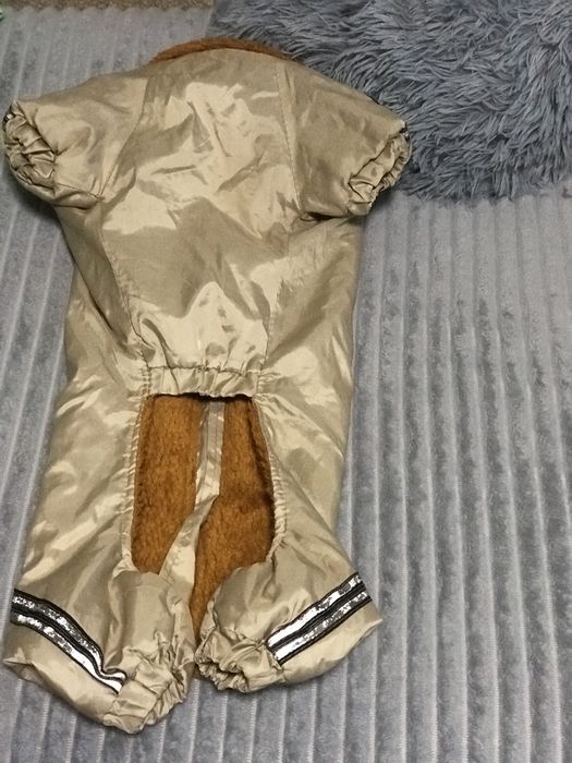 Комбенезон для собачки такси