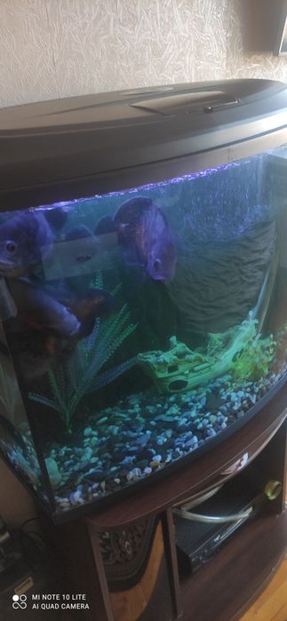 Аквариум на 120 литров
