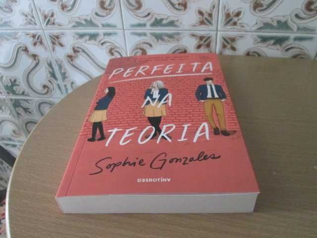 Perfeita na Teoria de Sophie Gonzales (Oferta de portes)