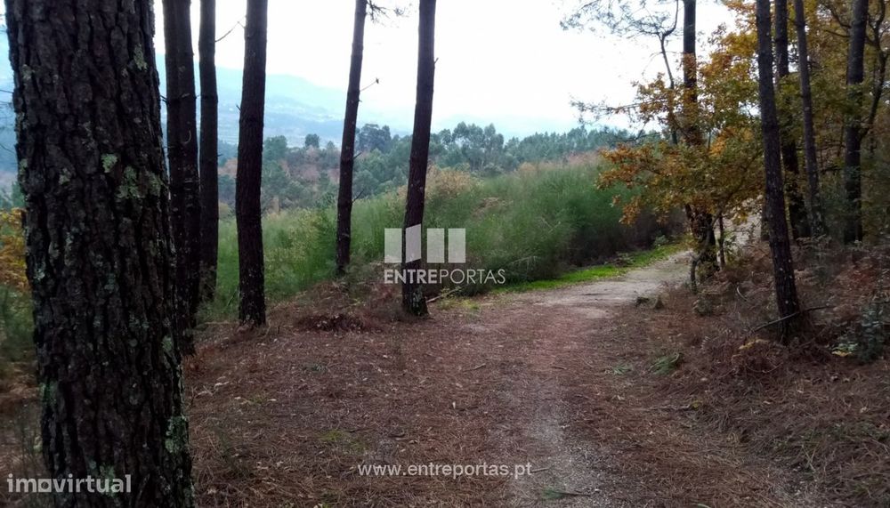 Venda Terreno c/ possibilidade de construção e área de 34000 m2, Lo