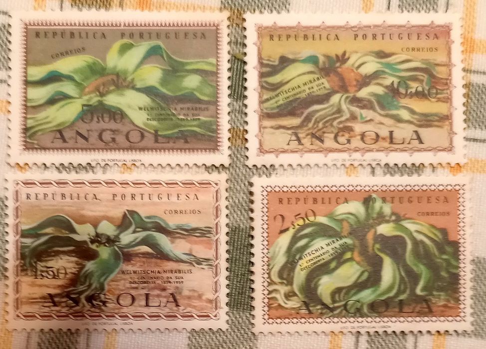 Selos e envelopes 1° dia - Angola