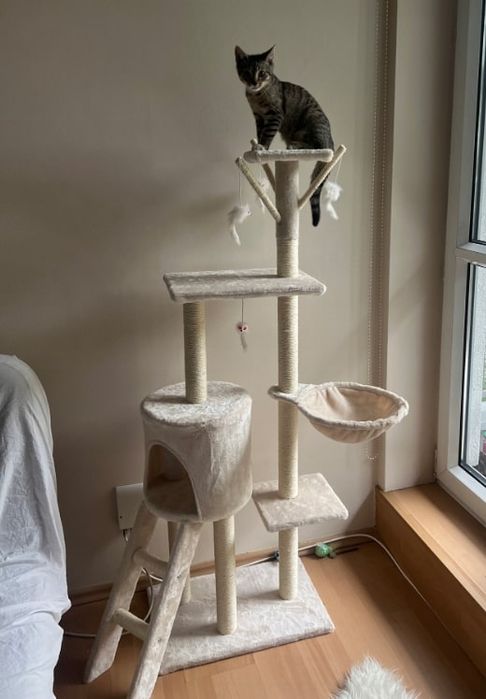 Funkcjonalny nowoczesny drapak domek dla kota 140cm