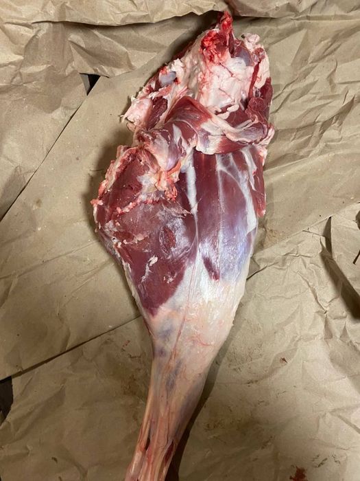 Продам ягнятину вік 5-11 місяців