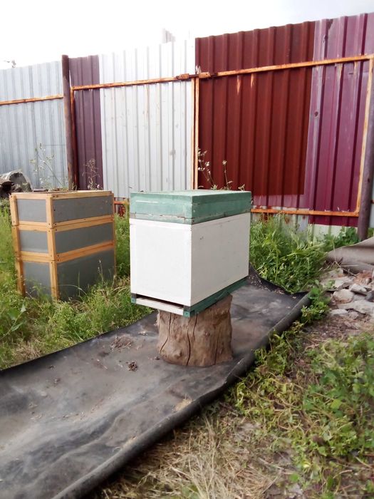 Продам улья не дорого