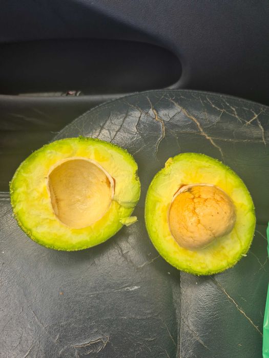 Fruta abacate nacional. Natural