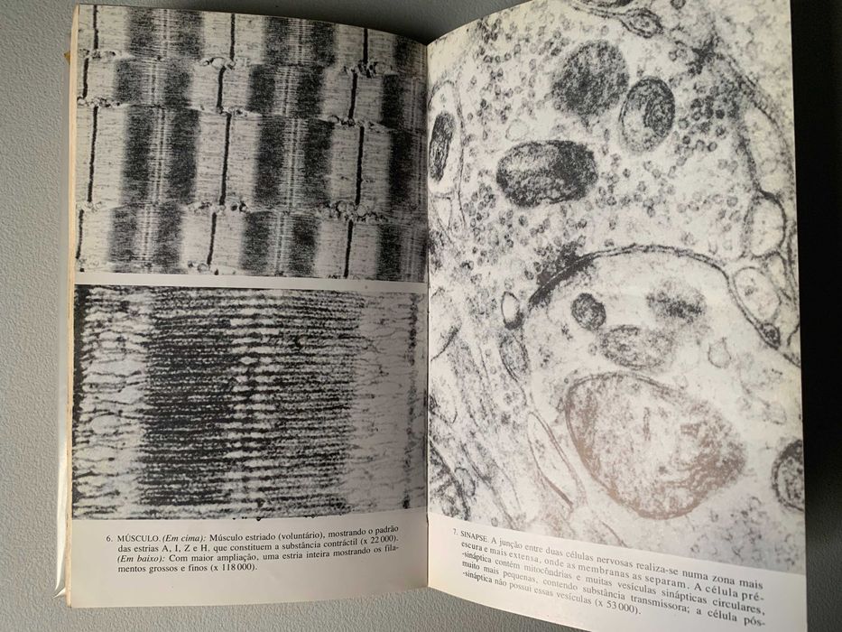 A Química da Vida, de Steven Rose