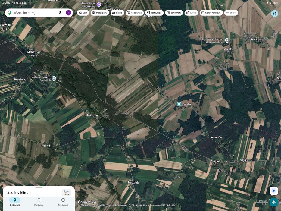 Działka 3000 m² Natolin | WZ w toku | las 1334 m² | prąd 15 kW - Widok 2