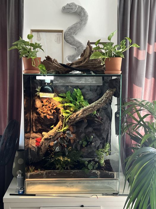 Terrarium 80x50x100