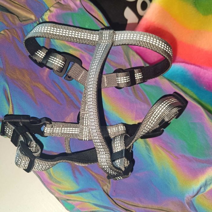 Szelki typu guard dla psa Truelove Lumen Lite