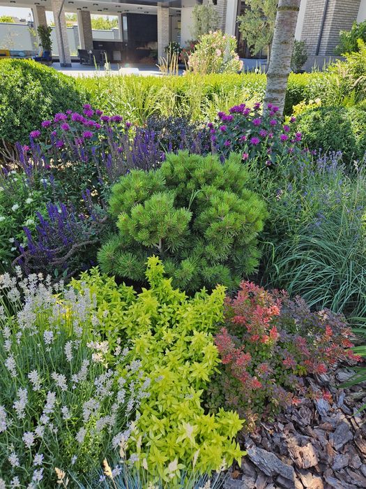 Ландшафтний дизайн/Догляд за садом/Садівник/Автополив