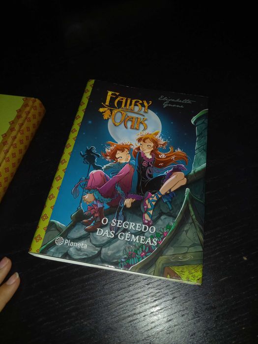 Livro "Fairy Oak - O Segredo das Gémeas"