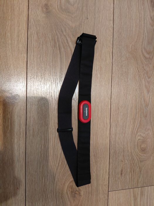 Smartwatch Garmin Fenix 3