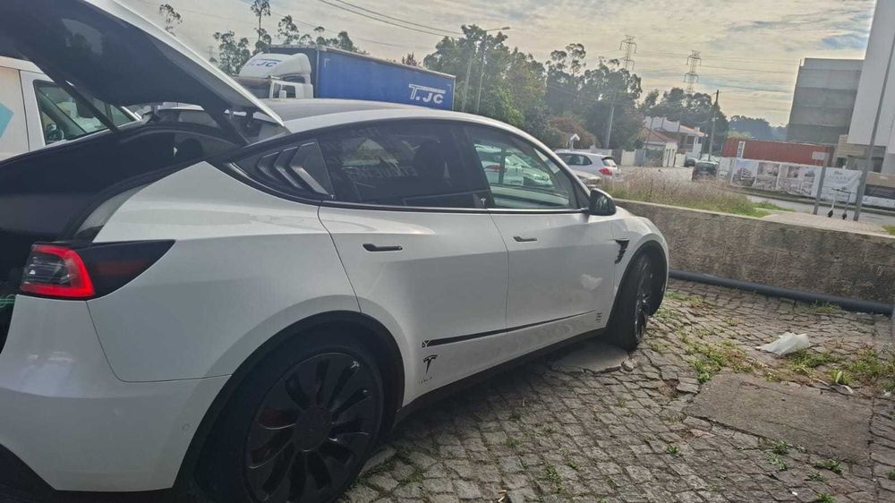 Tesla Model Y Performance