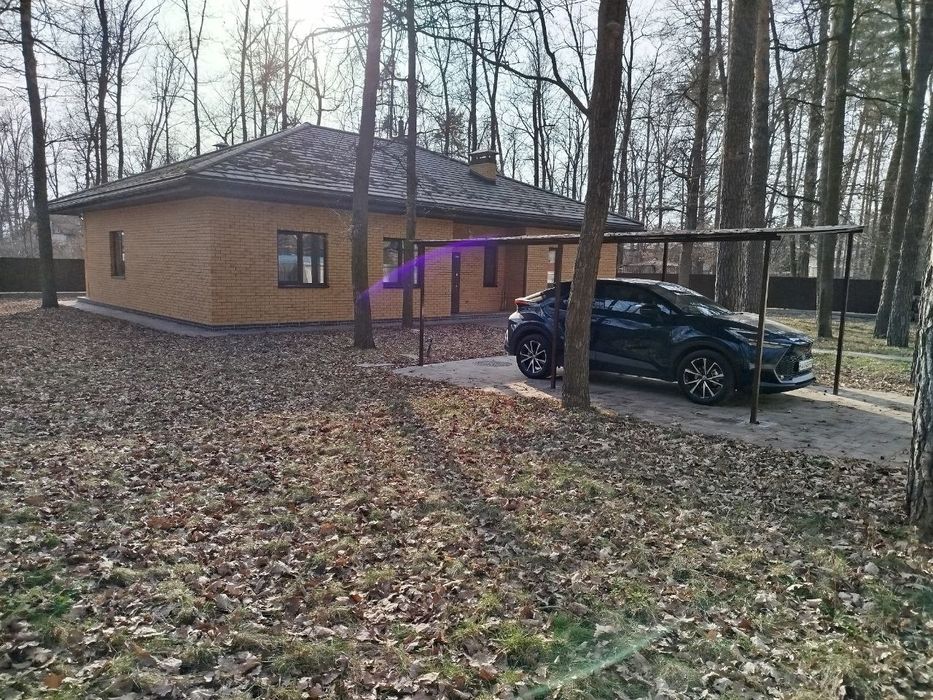 Затишний будинок в Ворзелі