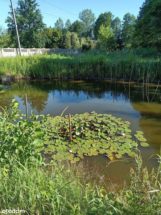 Sprzedam dużą, malowniczą działkę z domkiem Brzeźce k. Białobrzegów