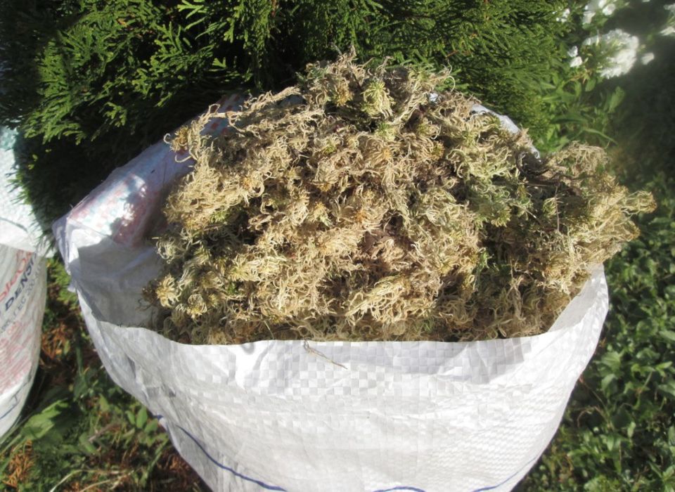 Мох сфагнум оптом 60л. Знижка та найкраща ціна