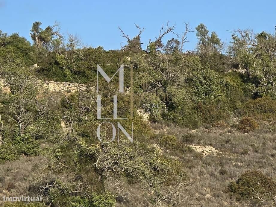 Terreno Rústico com Ruína e Vista Mar – 14.513 m2 | Excelente Oportuni